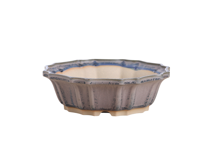 8-Inch Flower Bonsai Pot - Ocean
