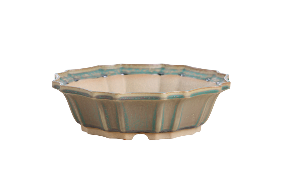10-Inch Flower Bonsai Pot - Speckled Moss