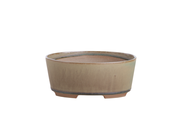 6-Inch Oval A Bonsai Pot - Speckled Moss
