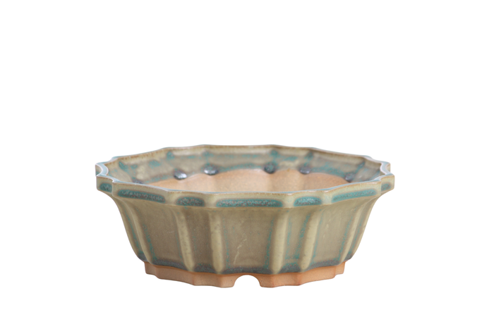 6.5-Inch Flower Bonsai Pot - Speckled Moss