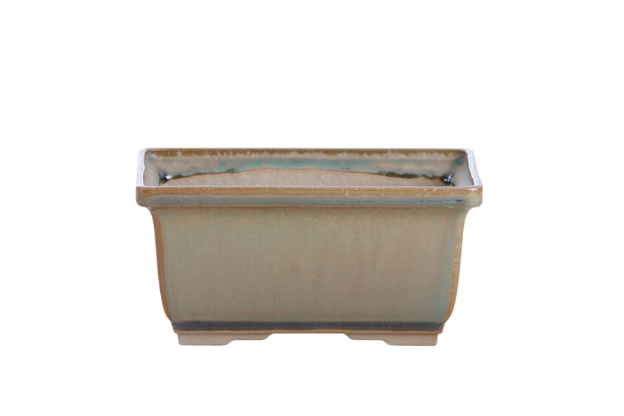 6-Inch Rectangle Deep Bonsai Pot - Speckled Moss