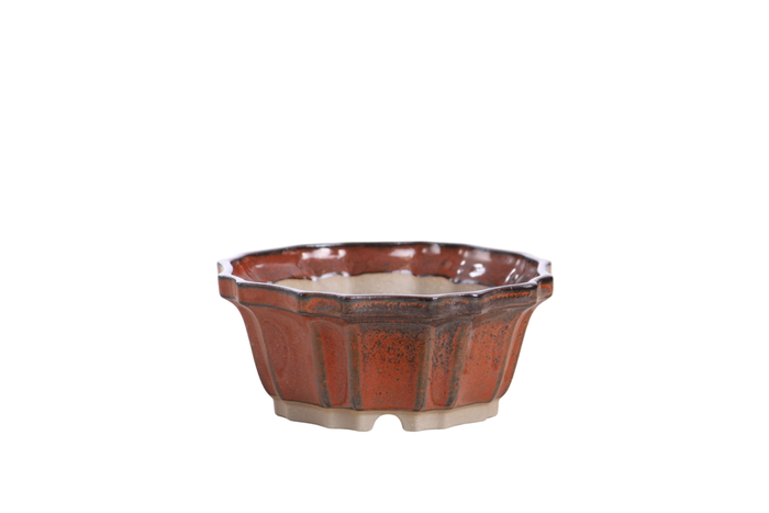 4.5-Inch Flower Bonsai Pot - Sunset