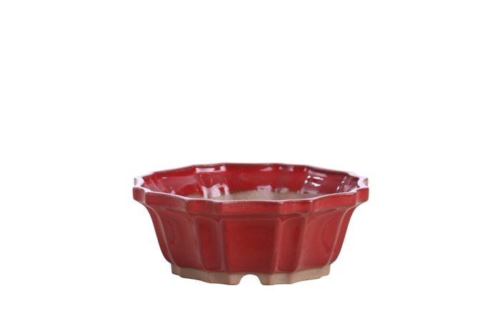 5-Inch Flower Bonsai Pot - Red