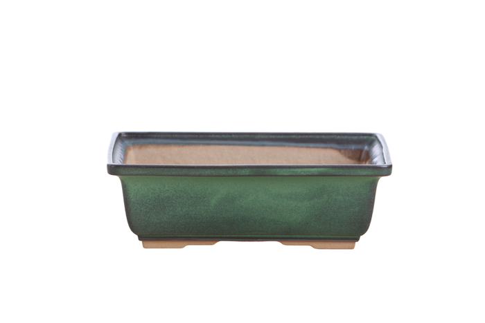 8-Inch Rectangle Bonsai Pot - Avocado