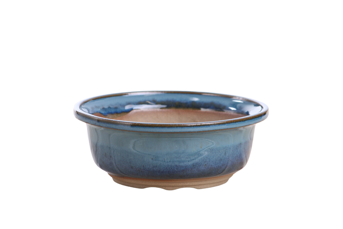 6-Inch Round Bonsai Pot - Peacock 2025