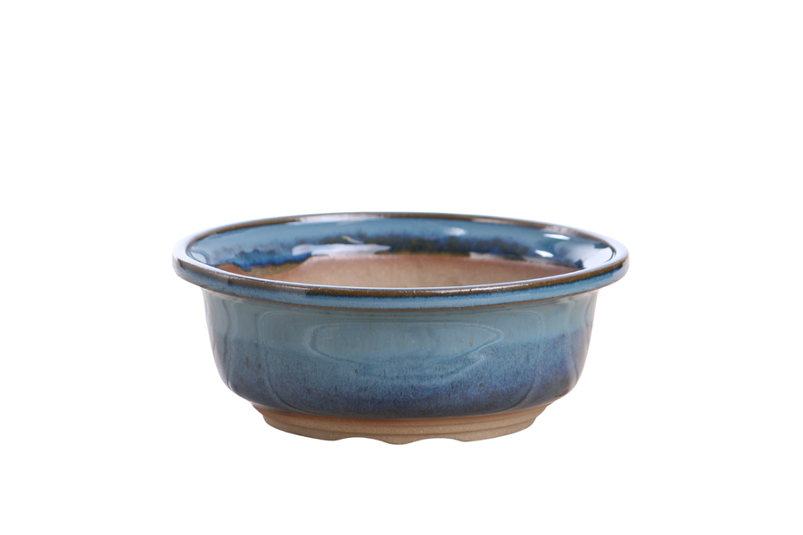 6-Inch Round Bonsai Pot - Peacock 2025