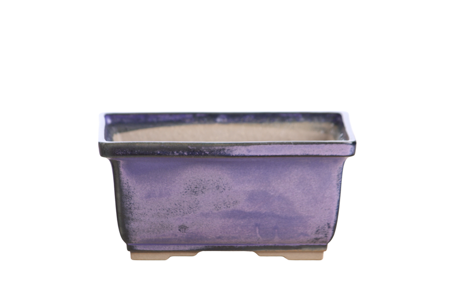 6-Inch Rectangle Deep Bonsai Pot - Purple