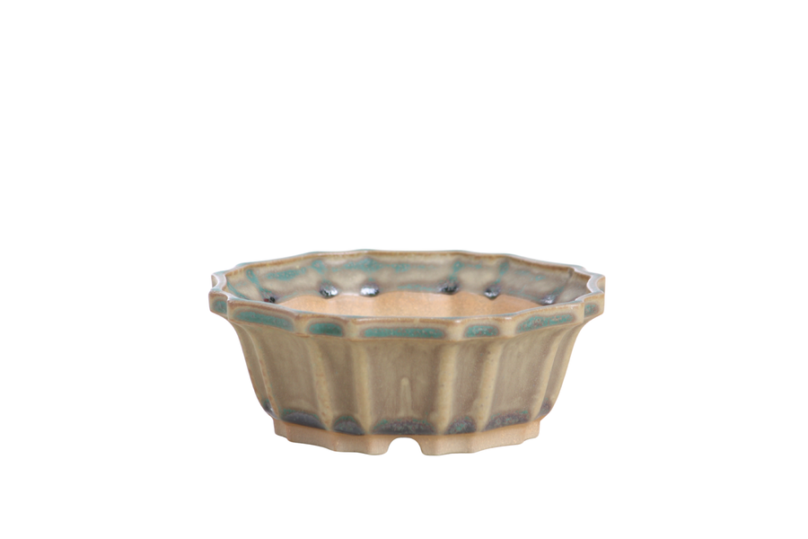 5-Inch Flower Bonsai Pot - Speckled Moss