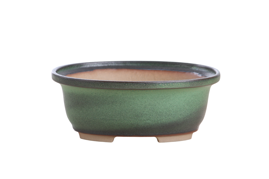 7.5-Inch Fat Oval Bonsai Pot - Avocado