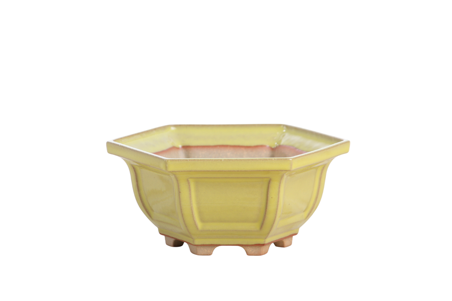 5-Inch Hexagonal Windowed Bonsai Pot - Yellow