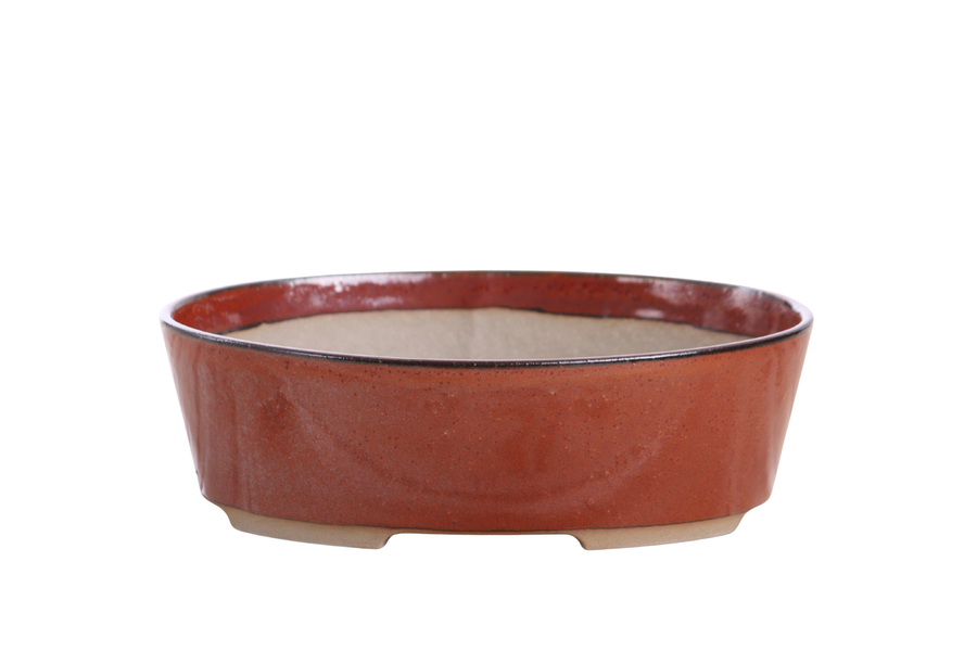 8-Inch Oval A Bonsai Pot - Sunset