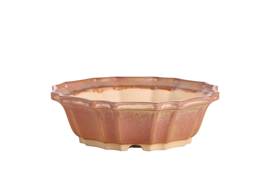 8-Inch Flower Bonsai Pot - Deep Stone
