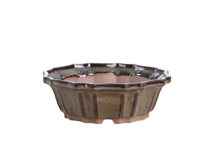 6.5-Inch Flower Bonsai Pot - Dark Honey