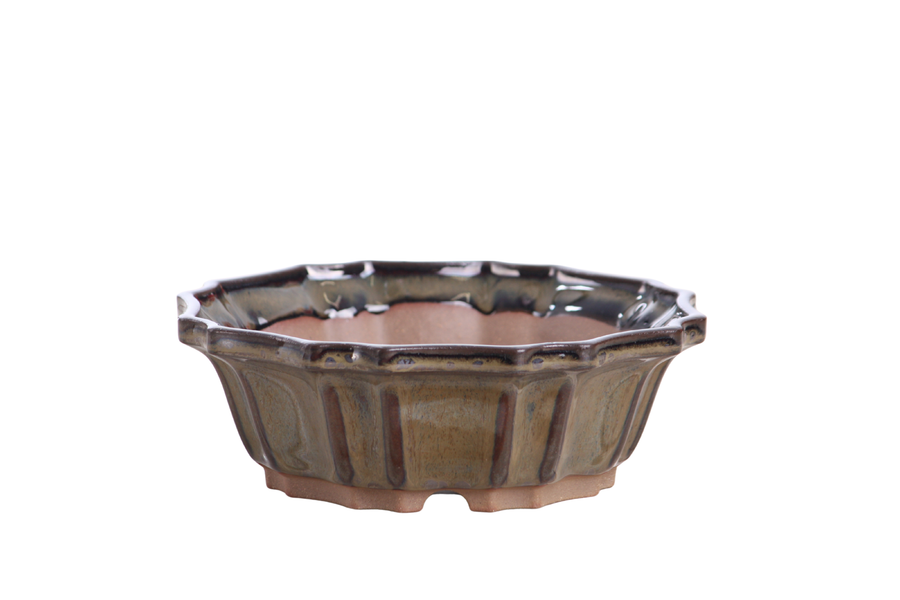 6.5-Inch Flower Bonsai Pot - Dark Honey