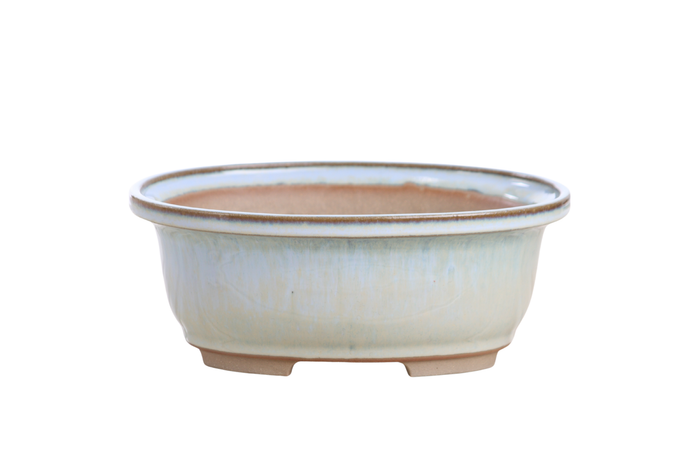 7.5-Inch Fat Oval Bonsai Pot - Glacier