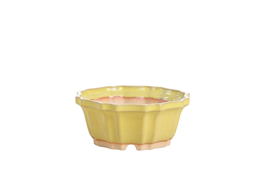 4.5-Inch Flower Bonsai Pot - Yellow