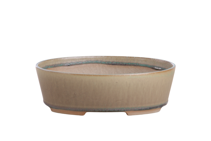 8-Inch Oval A Bonsai Pot - Speckled Moss