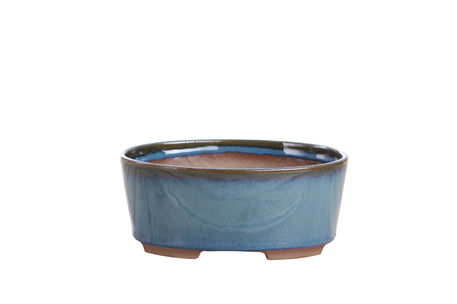 6-Inch Oval A Bonsai Pot - Peacock 2025