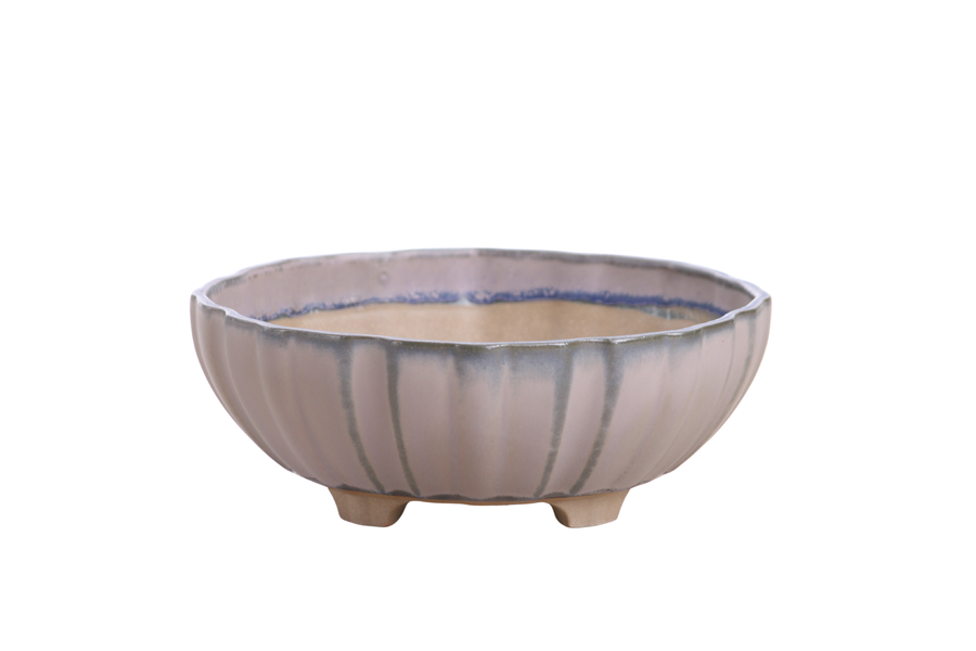7-Inch Lily Bonsai Pot - Ocean