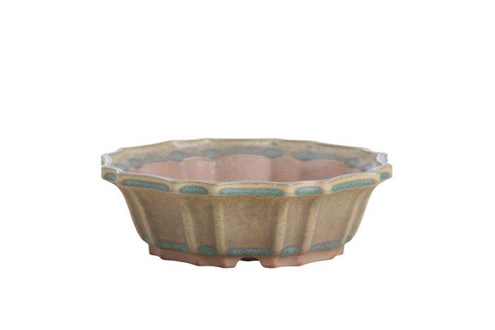 8-Inch Flower Bonsai Pot - Speckled Moss