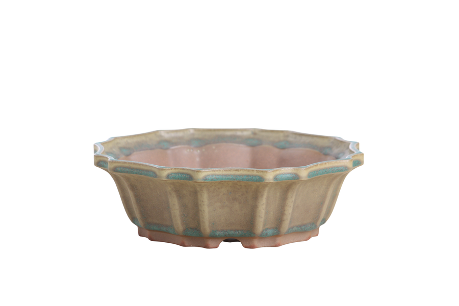 8-Inch Flower Bonsai Pot - Speckled Moss