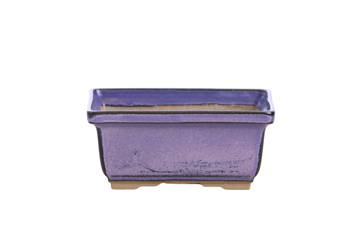 5-Inch Rectangle Deep Bonsai Pot - Purple