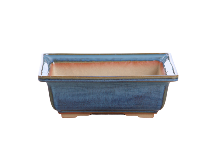 8-Inch Square Bonsai Pot - Peacock 2025