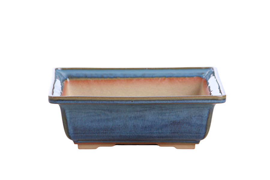 8-Inch Square Bonsai Pot - Peacock 2025