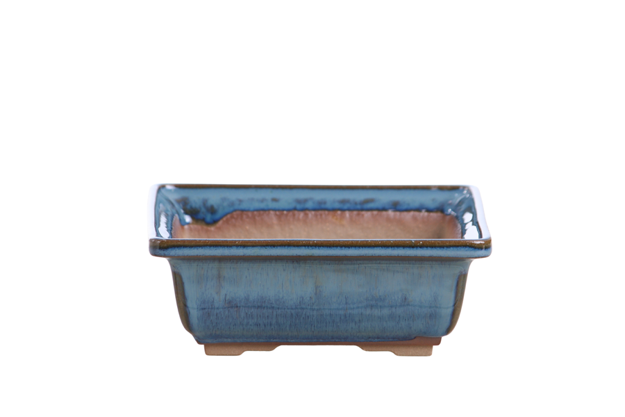 6-Inch Square Bonsai Pot - Peacock 2025