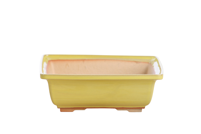 7-Inch Square Bonsai Pot - Yellow