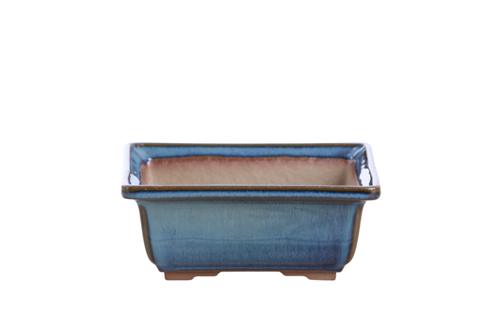 5.5-Inch Square Bonsai Pot - Peacock 2025