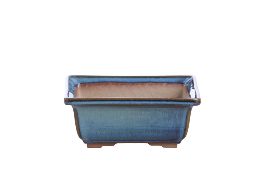 5.5-Inch Square Bonsai Pot - Peacock 2025