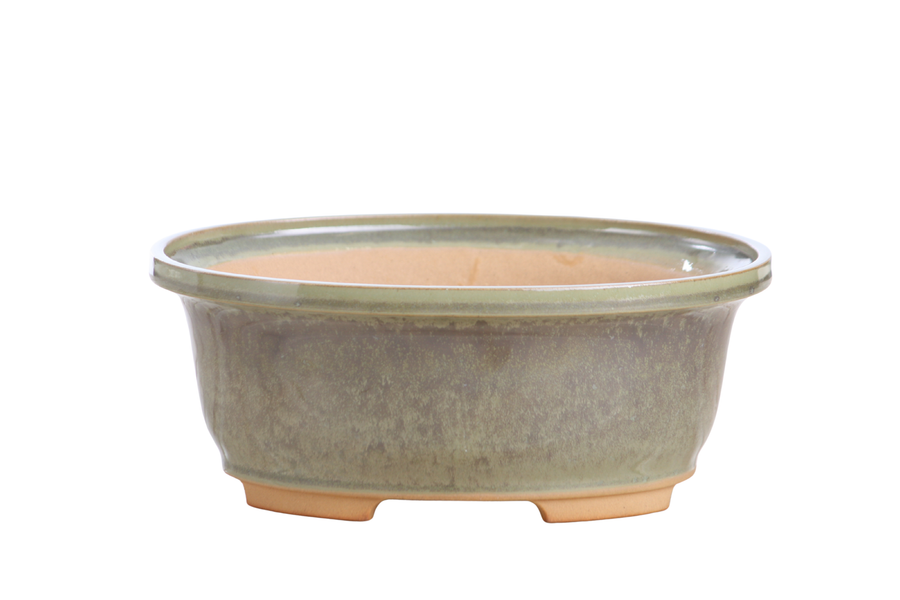 7.5-Inch Fat Oval Bonsai Pot - Copenhagen