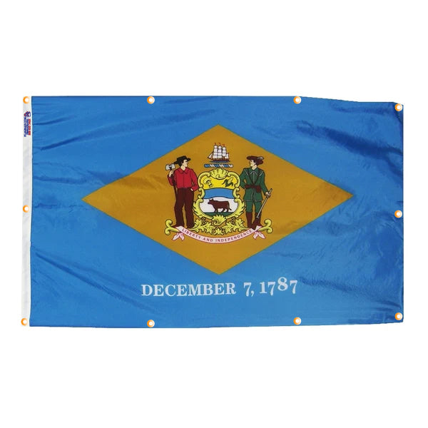 Delaware Flag with Grommets Along the Edges for Wall Hanging