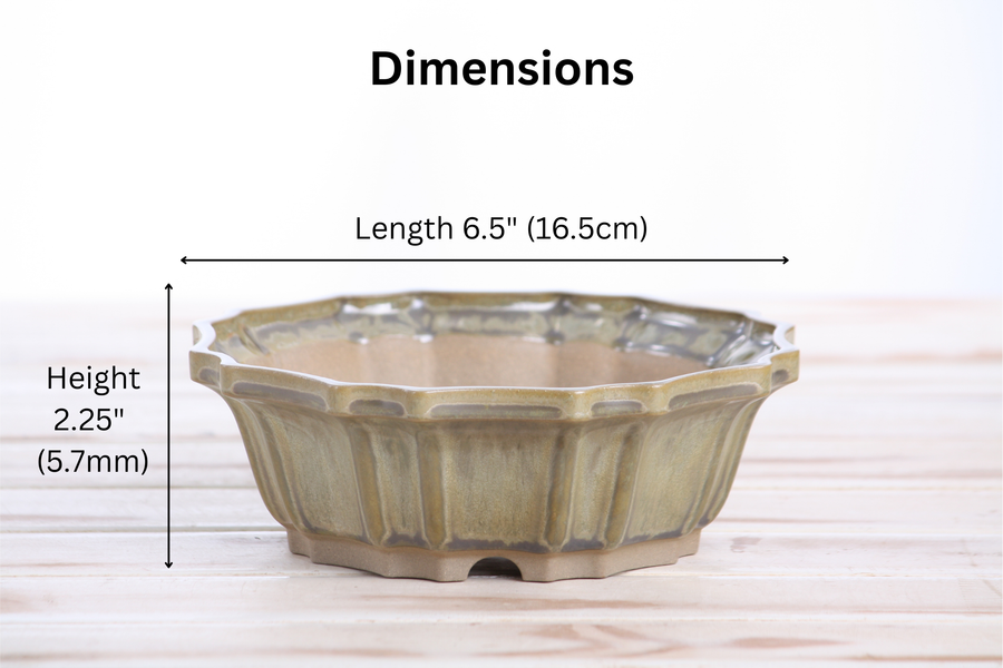 Dimensions of 6.5-Inch Flower Bonsai Pot - Copenhagen