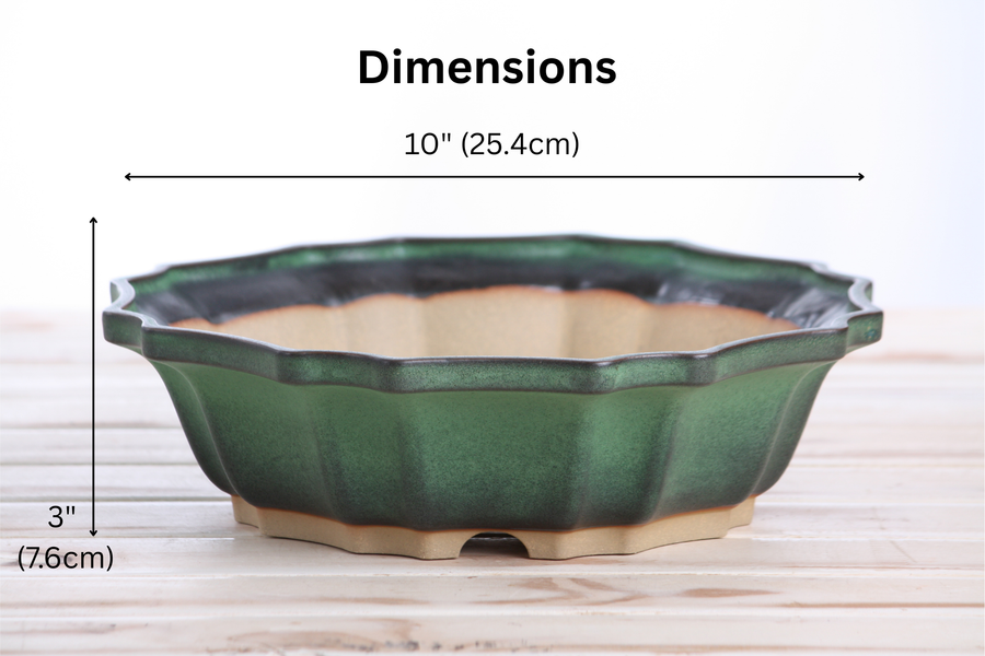 Dimensions of 10-Inch Flower Bonsai Pot - Avocado
