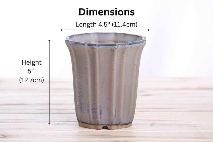 Dimensions of 4.5-Inch Flower Cascade Bonsai Pot - Ocean