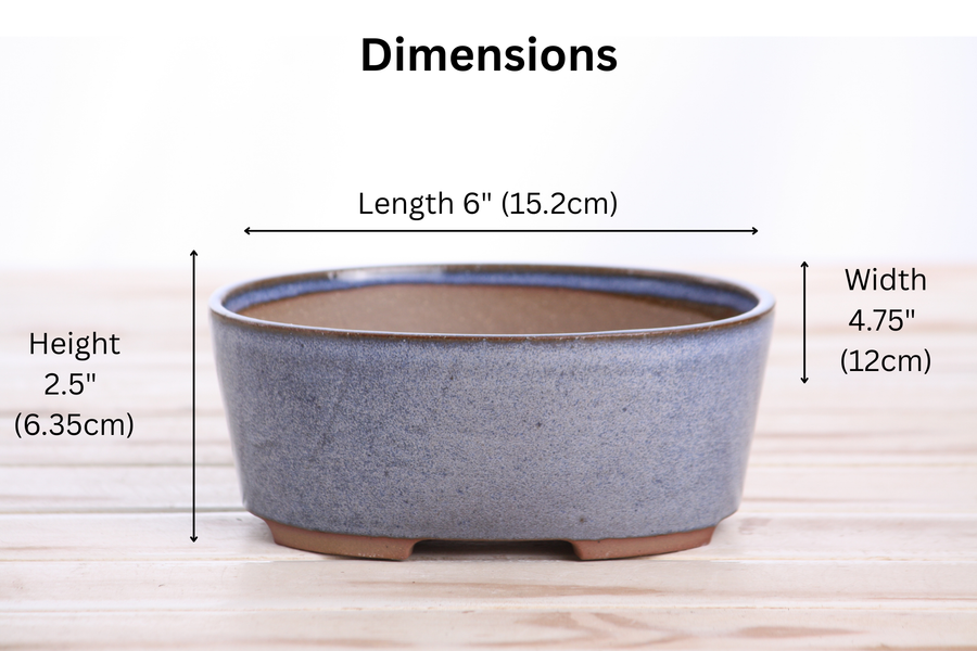 Dimensions of 6-Inch Oval A Bonsai Pot - Denim