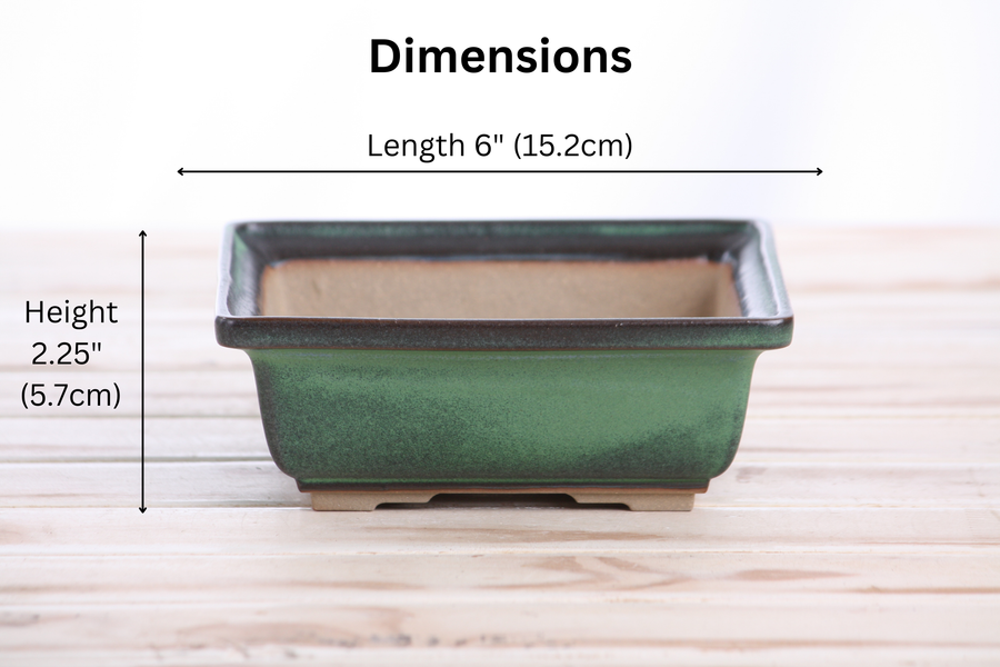 Dimensions of 6-Inch Square Bonsai Pot - Avocado
