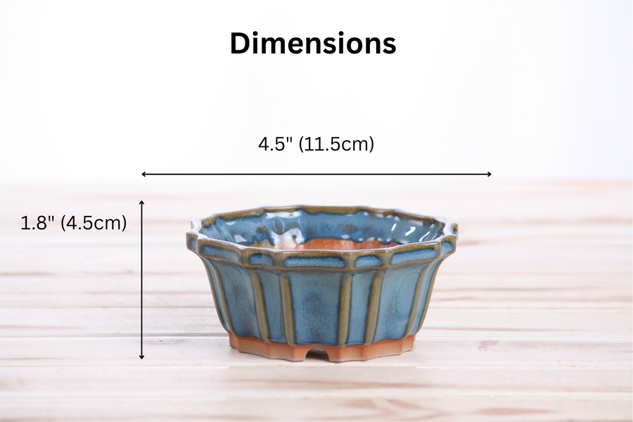 Dimensions of 4.5-Inch Flower Bonsai Pot - Peacock 2025
