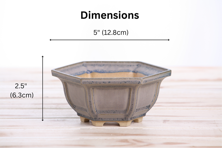 Dimensions of 5-Inch Hexagonal Windowed Bonsai Pot - Ocean