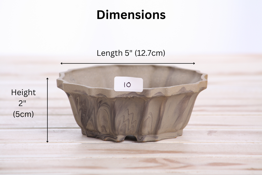 Dimensions of 5-Inch Flower Bonsai Pot - Marbled No. 10