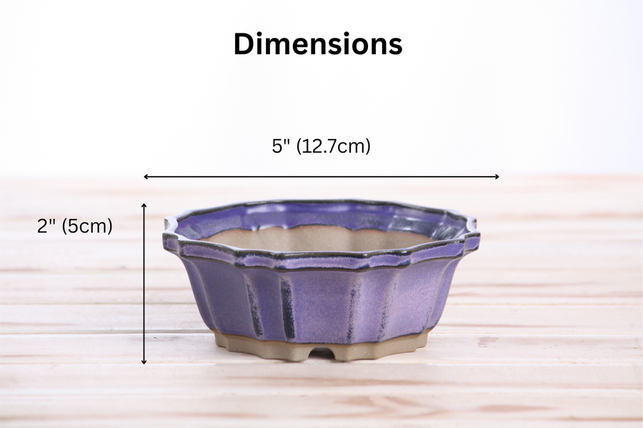 Dimensions of 5-Inch Flower Bonsai Pot - Purple