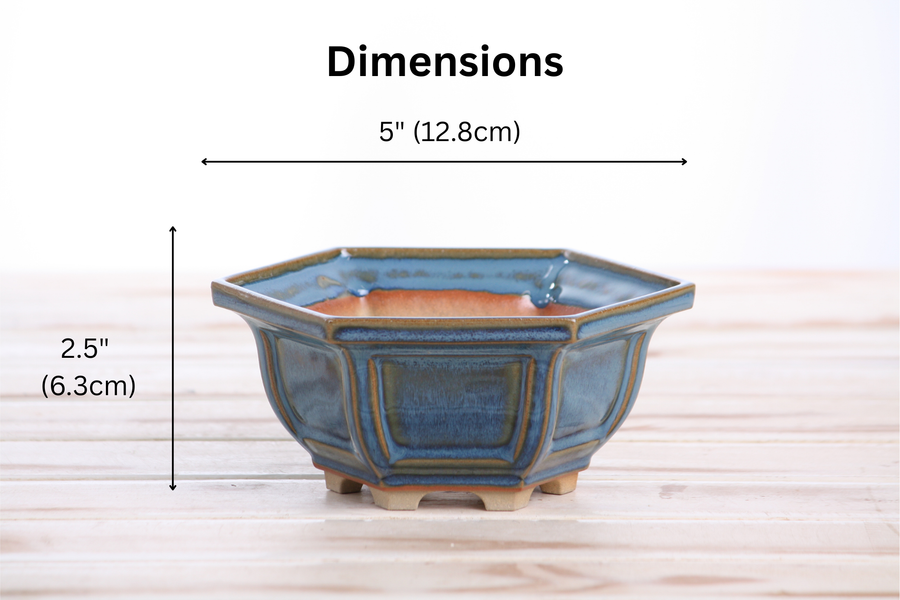 Dimensions of 5-Inch Hexagonal Windowed Bonsai Pot - Peacock 2025