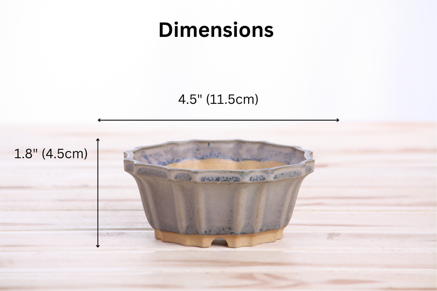 Dimensions of 4.5-Inch Flower Bonsai Pot - Ocean