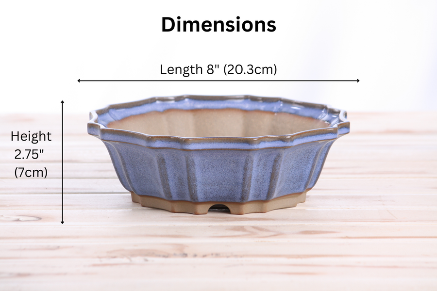 Dimensions of 8-Inch Flower Bonsai Pot - Denim
