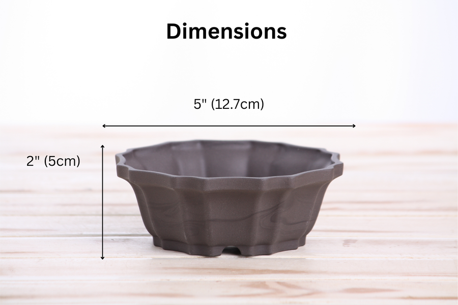 Dimensions of 5-Inch Flower Bonsai Pot - Unglazed Black