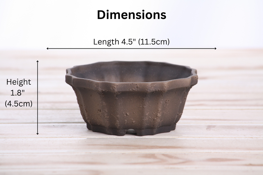 Dimensions of 4.5-Inch Flower Bonsai Pot - Textured Unglazed Limited Edition