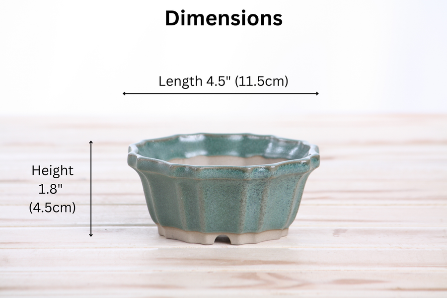 Dimensions of 4.5-Inch Flower Bonsai Pot - Seaweed 2023