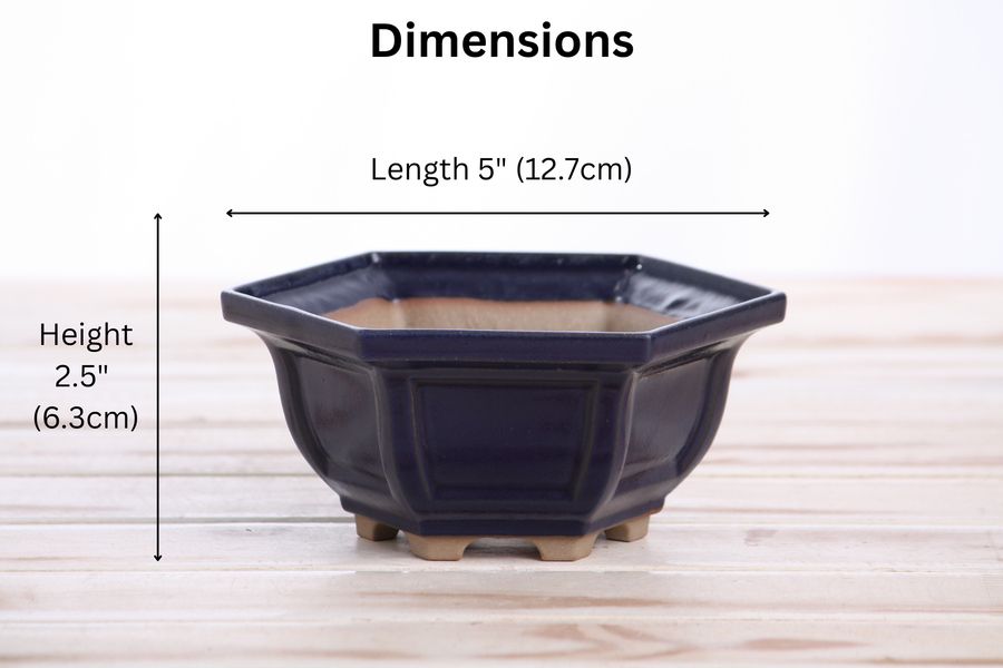Dimensions of 5-Inch Hexagonal Windowed Bonsai Pot - Ruri